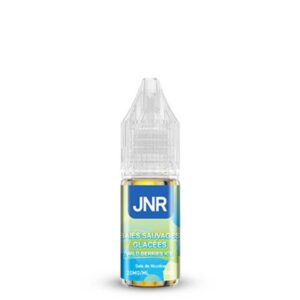 Wild Berries Ice 10 ml
