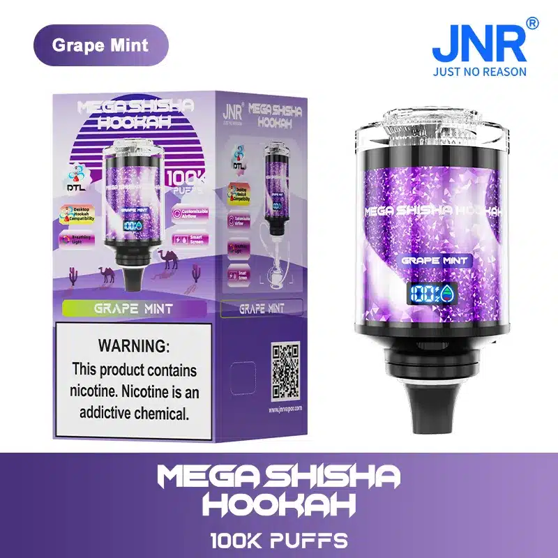 Puff JNR Mega Shisha Hookah 100K Grape Mint