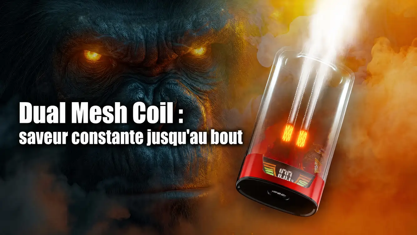 Dual Mesh Coil : saveur constante jusqu'au bout